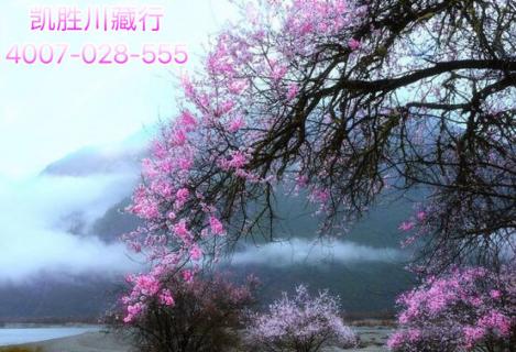 2019年318川藏線(xiàn)國(guó)道最新路況，2019年想去川藏線(xiàn)的趕緊收藏！