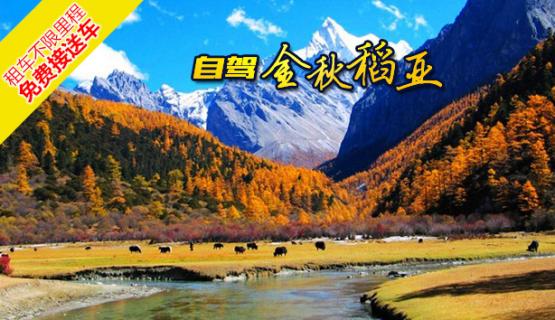 進(jìn)藏最關(guān)鍵的8條路線詳解